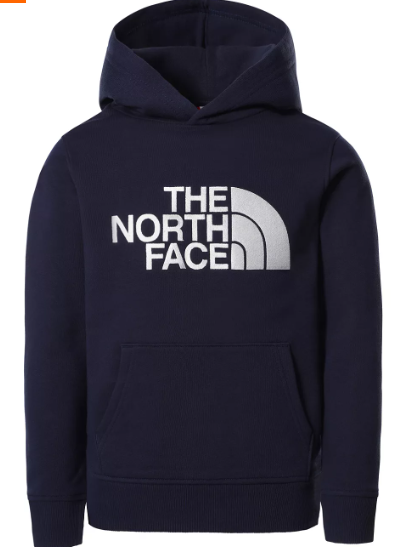 North face hoodie for kids hotsell