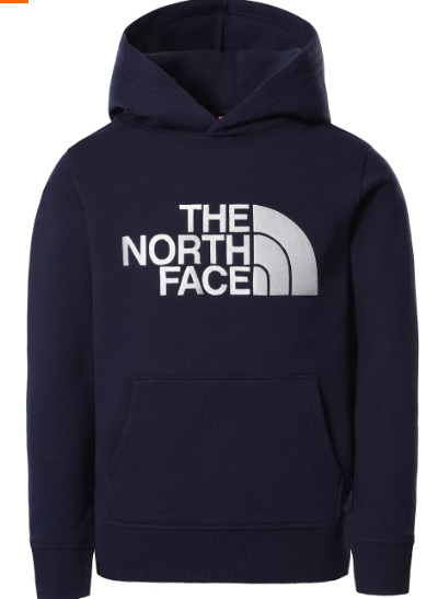 The North Face Kids Drew Peak Pullover Hoodie