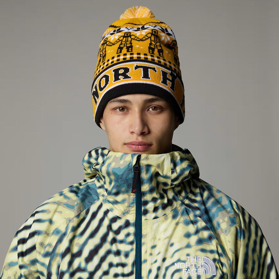 The North Face Ski Tuke Beanie