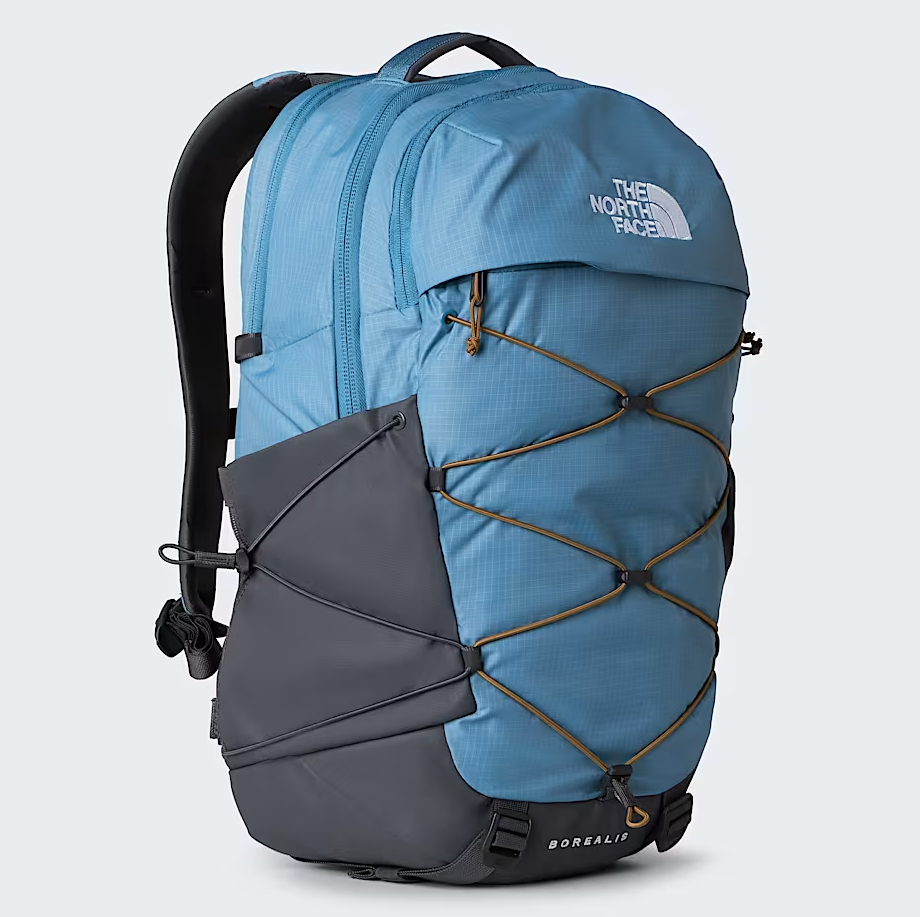 The North Face Borealis Back pack
