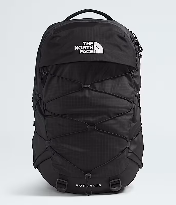 The North Face Borealis Back pack