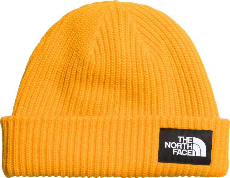 The North Face Unisex Salty Dog Lined Beanie